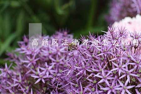 高新区法律咨询怎么收费 高新区法律咨询怎么收费