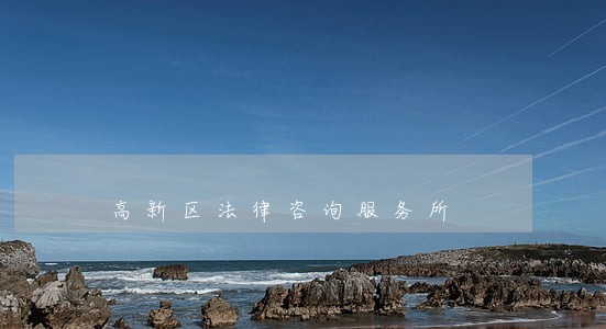 高新区法律咨询服务所