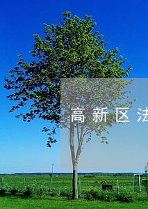 高新区法律咨询服务站 高新区法律咨询服务站