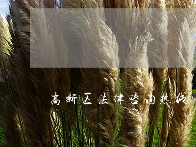 高新区法律咨询热线 高新区法律咨询热线