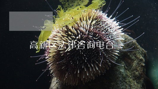 高新区法律咨询电台 高新区法律咨询电台