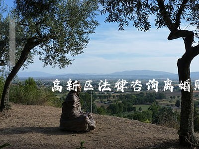 高新区法律咨询离婚财产 高新区法律咨询离婚财产