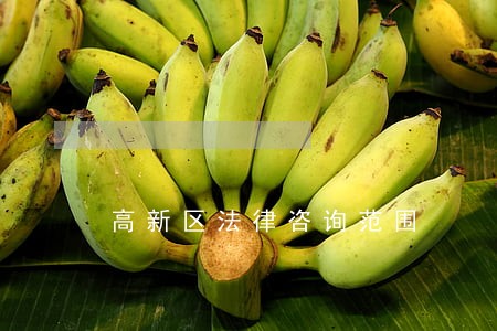高新区法律咨询范围