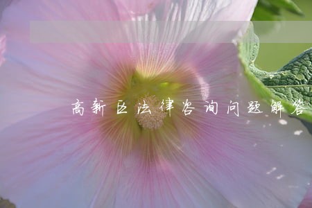 高新区法律咨询问题解答 高新区法律咨询问题解答