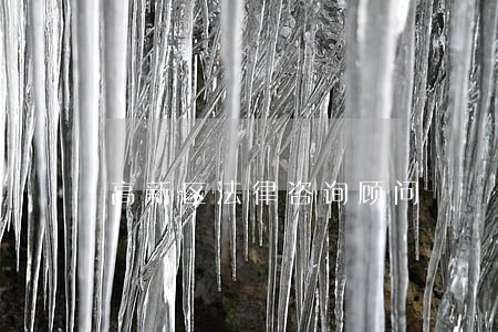 高新区法律咨询顾问 高新区法律咨询顾问