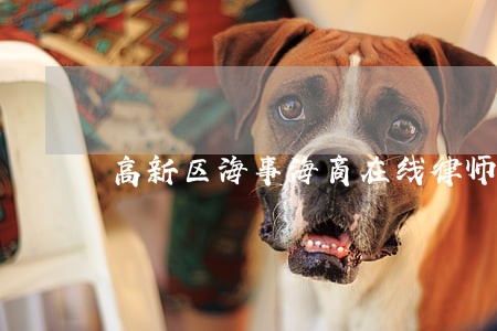 高新区海事海商在线律师咨询 高新区海事海商在线律师咨询