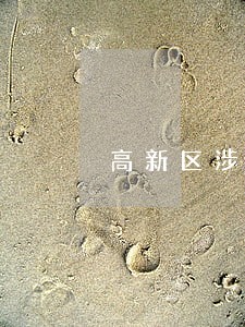 高新区涉外专长免费法律咨询热线 高新区涉外专长免费法律咨询热线