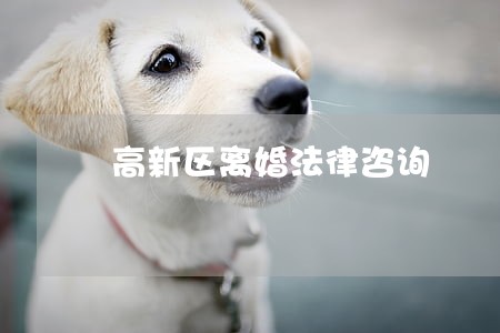 高新区离婚法律咨询 高新区离婚法律咨询