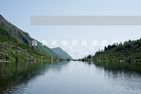 高新区经济法律咨询