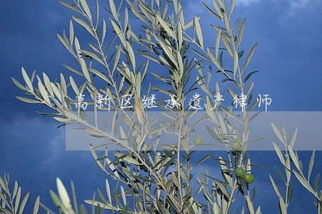 高新区继承遗产律师 高新区继承遗产律师