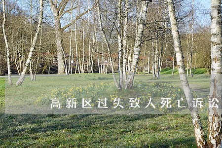 高新区过失致人死亡诉讼律师 高新区过失致人死亡诉讼律师