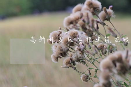 高新开发区工程建筑在线律师 高新开发区工程建筑在线律师