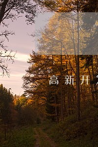 高新开发区离婚彩礼律师 高新开发区离婚彩礼律师