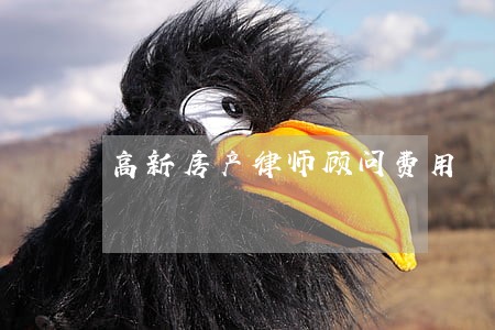 高新房产律师顾问费用 高新房产律师顾问费用