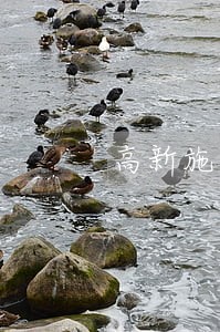 高新施工合同纠纷律师 高新施工合同纠纷律师
