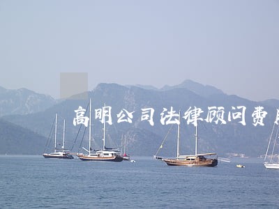 高明公司法律顾问费用 高明公司法律顾问费用
