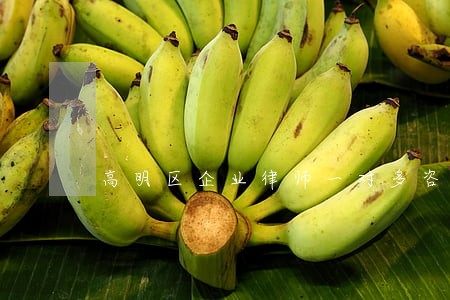 高明区企业律师一对多咨询 高明区企业律师一对多咨询