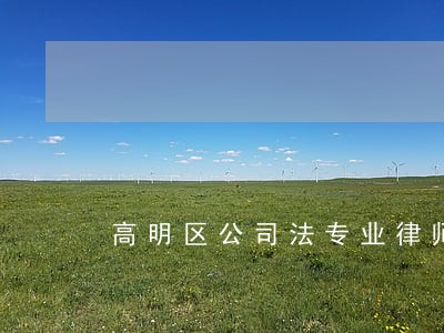 高明区公司法专业律师 高明区公司法专业律师
