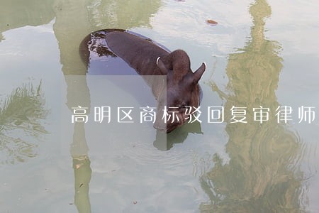 高明区商标驳回复审律师费用 高明区商标驳回复审律师费用