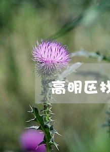 高明区找律师一对多咨询 高明区找律师一对多咨询