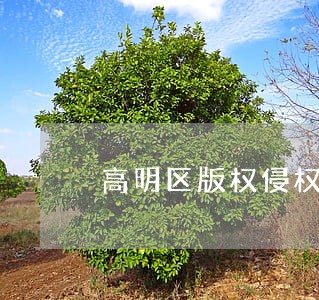 高明区版权侵权律师 高明区版权侵权律师