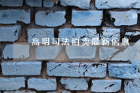 高明司法拍卖最新信息