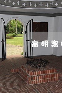 高明离婚律师哪个口碑好 高明离婚律师哪个口碑好