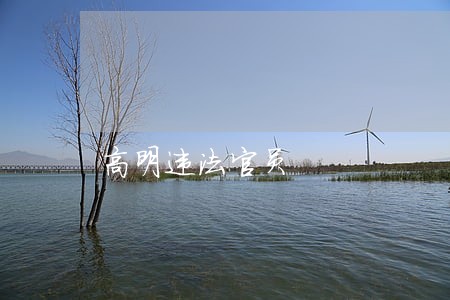 高明违法官员 高明违法官员