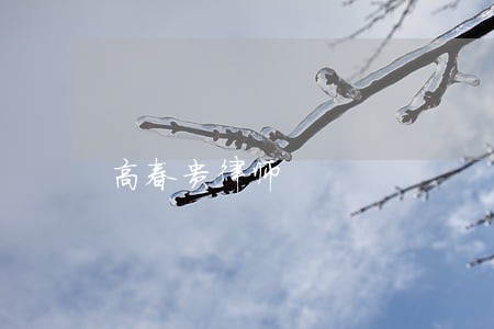 高春贵律师 高春贵律师