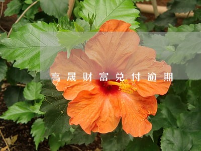 高晟财富兑付逾期 高晟财富兑付逾期