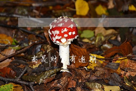 高晟财富有逾期 高晟财富有逾期