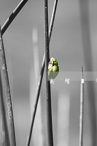 高智昇律师