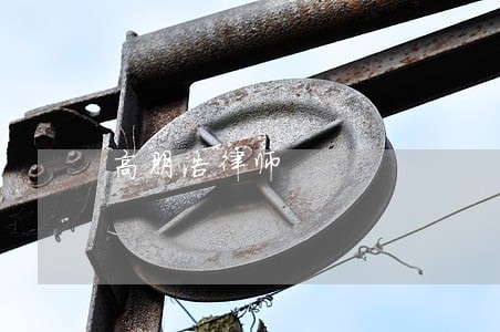 高朋浩律师 高朋浩律师