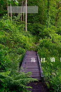 高村镇律师