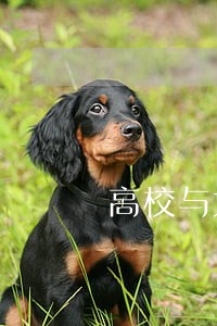 高校与大学生的法律关系定位 高校与大学生的法律关系定位
