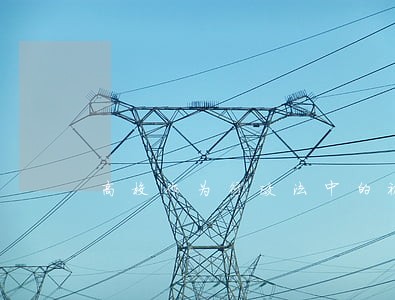 高校作为行政法中的被授权组织
