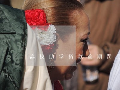 高校助学贷款逾期罚息 高校助学贷款逾期罚息