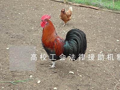 高校工会法律援助机制