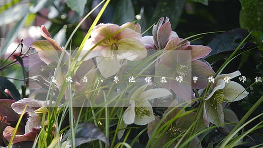 高校当八年法律老师申请律师证