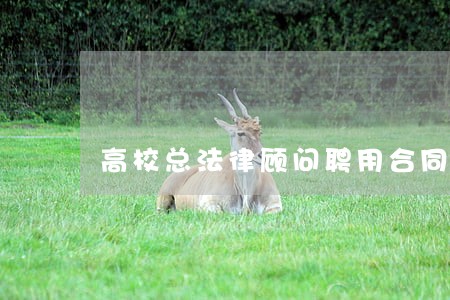 高校总法律顾问聘用合同 高校总法律顾问聘用合同