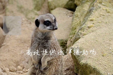 高校提供法律援助吗 高校提供法律援助吗