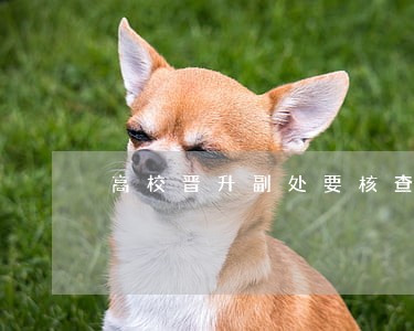 高校晋升副处要核查违法记录吗