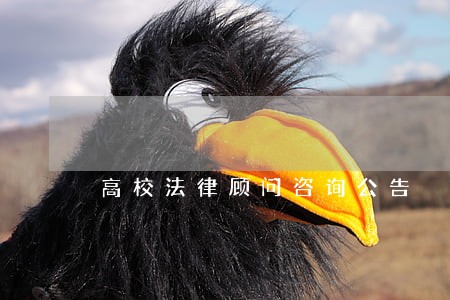 高校法律顾问咨询公告 高校法律顾问咨询公告