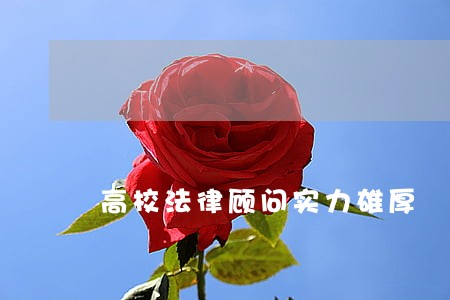 高校法律顾问实力雄厚 高校法律顾问实力雄厚