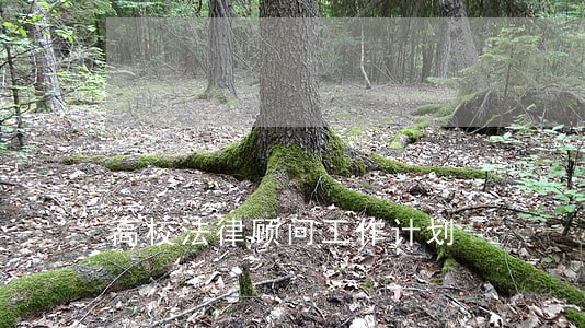 高校法律顾问工作计划 高校法律顾问工作计划
