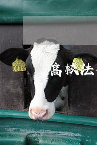 高校法律顾问服务电话 高校法律顾问服务电话