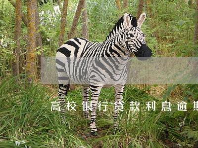 高校银行贷款利息逾期 高校银行贷款利息逾期