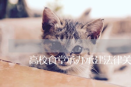 高校食堂承办承建法律关系 高校食堂承办承建法律关系