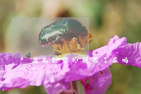 高永新律师解答了在吗