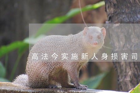 高法今实施新人身损害司法解释 高法今实施新人身损害司法解释